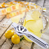 Stainless Steel Hand Press Lemon Squeezer – Durable & Easy to Use